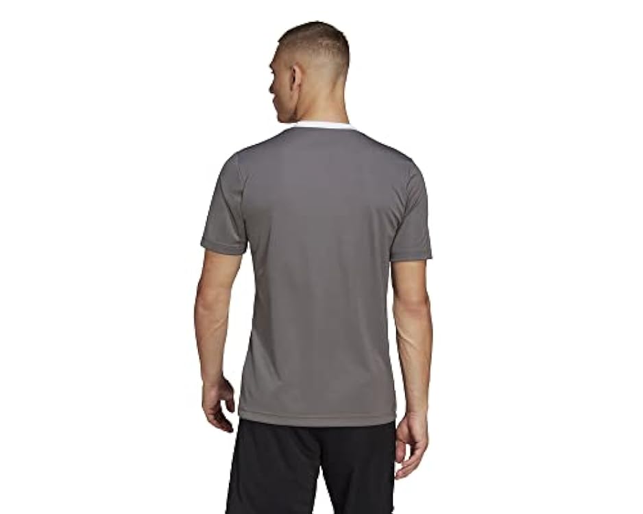 adidas Entrada 22 Short Sleeve Jersey, T-Shirt Uomo, Team Grey Four, S 887576759